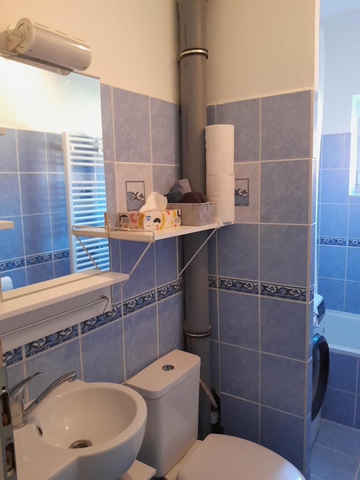 Apartment Riegerovka Хеб Екстер'єр фото